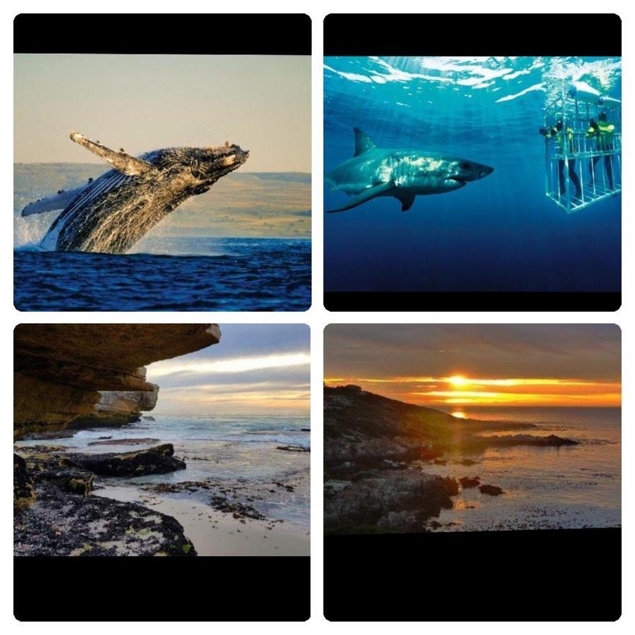 Shark Cove Little Cottage Kleinbaai エクステリア 写真
